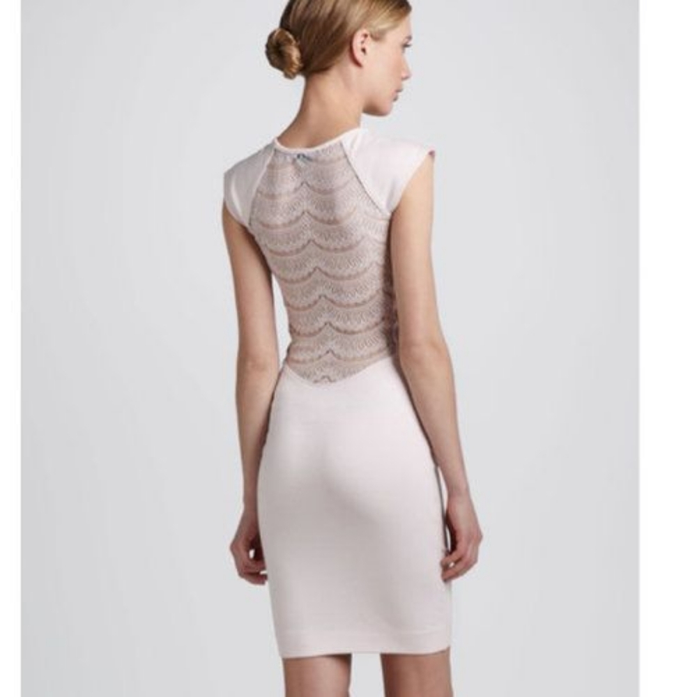 NWT French Connection pink lace dress (SOLD OUT!)